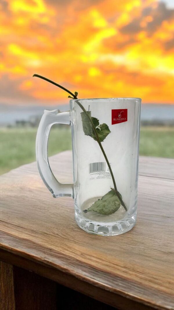 Blinkmax Premium Glass Beer Mug – Heavy & Clear Glass (500ml)